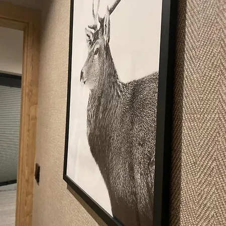 Trzy Szyszki Jezioro Czorsztynskie Balia Oraz Sauna W Cenie