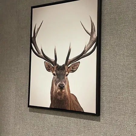 Trzy Szyszki Jezioro Czorsztynskie Balia Oraz Sauna W Cenie * Maniowy